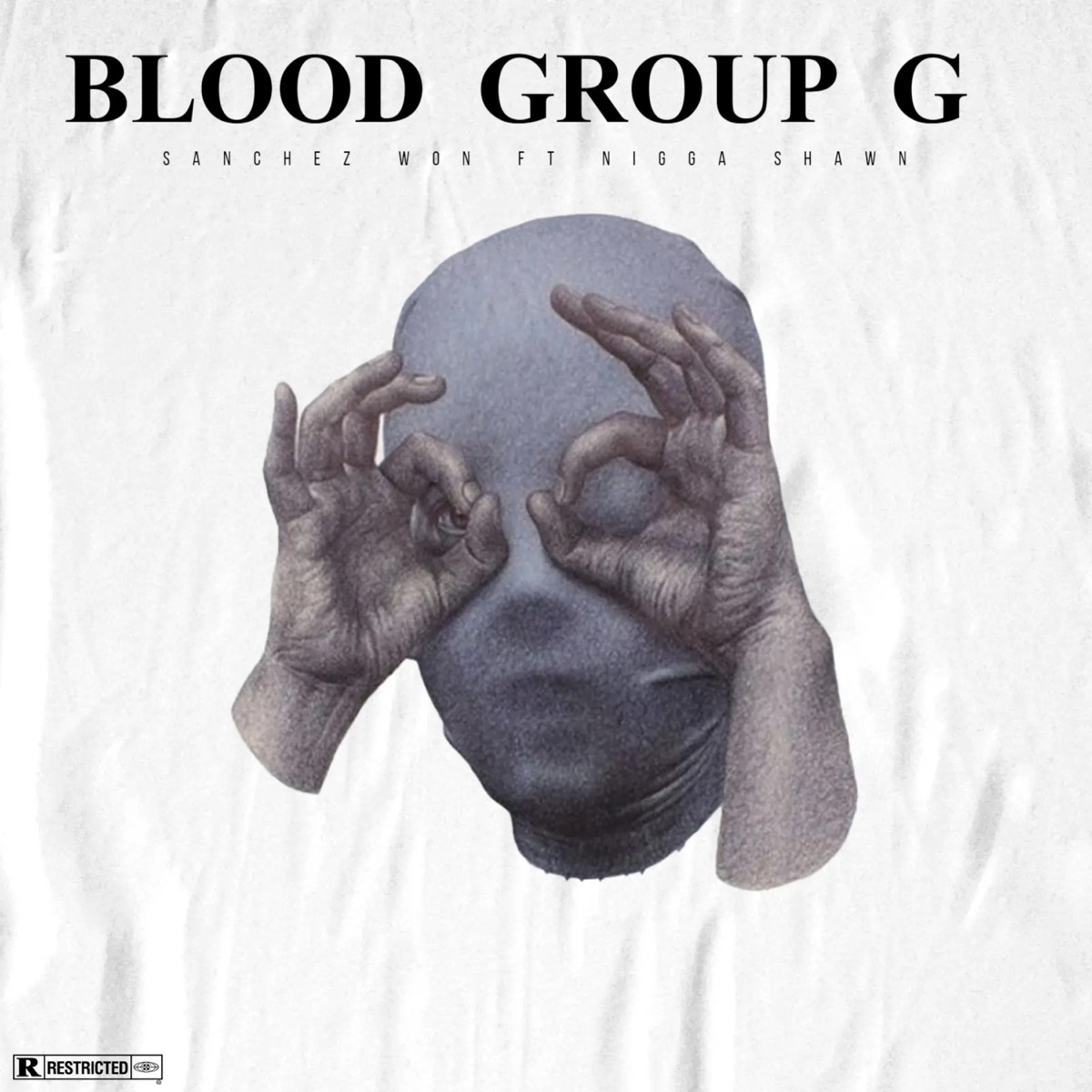 Blood Group G (feat. N***A SHAWN) - Single by Sanchez won album cover