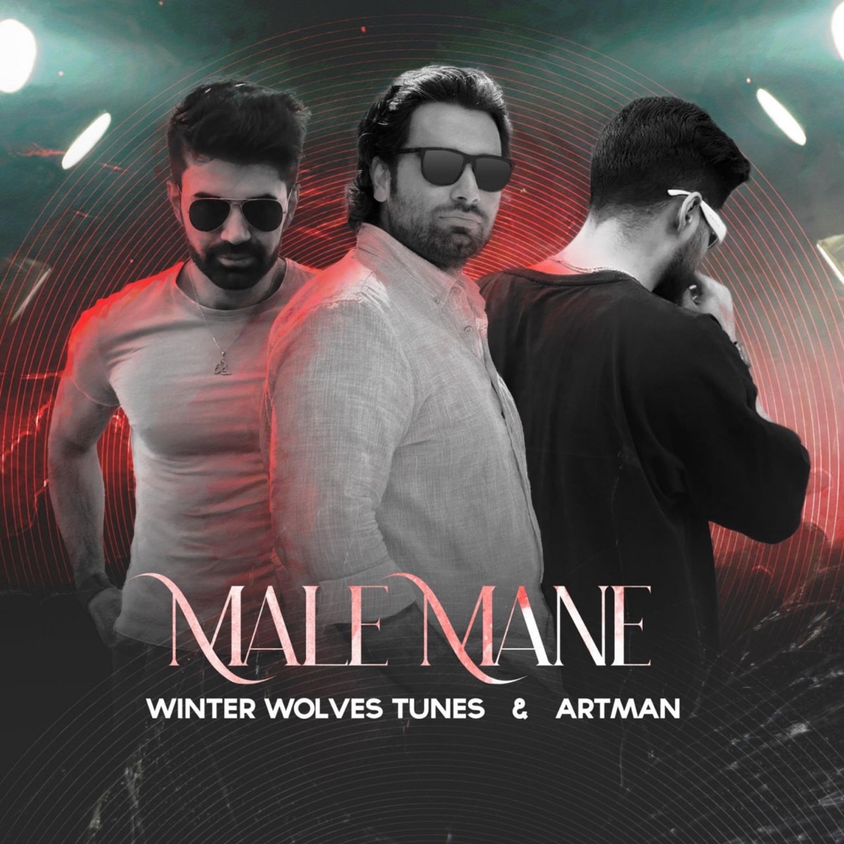Male Mane (feat. Hesam Artman & WHYZED) - Single by Winter Wolves Tunes & ThatKidGoran album cover