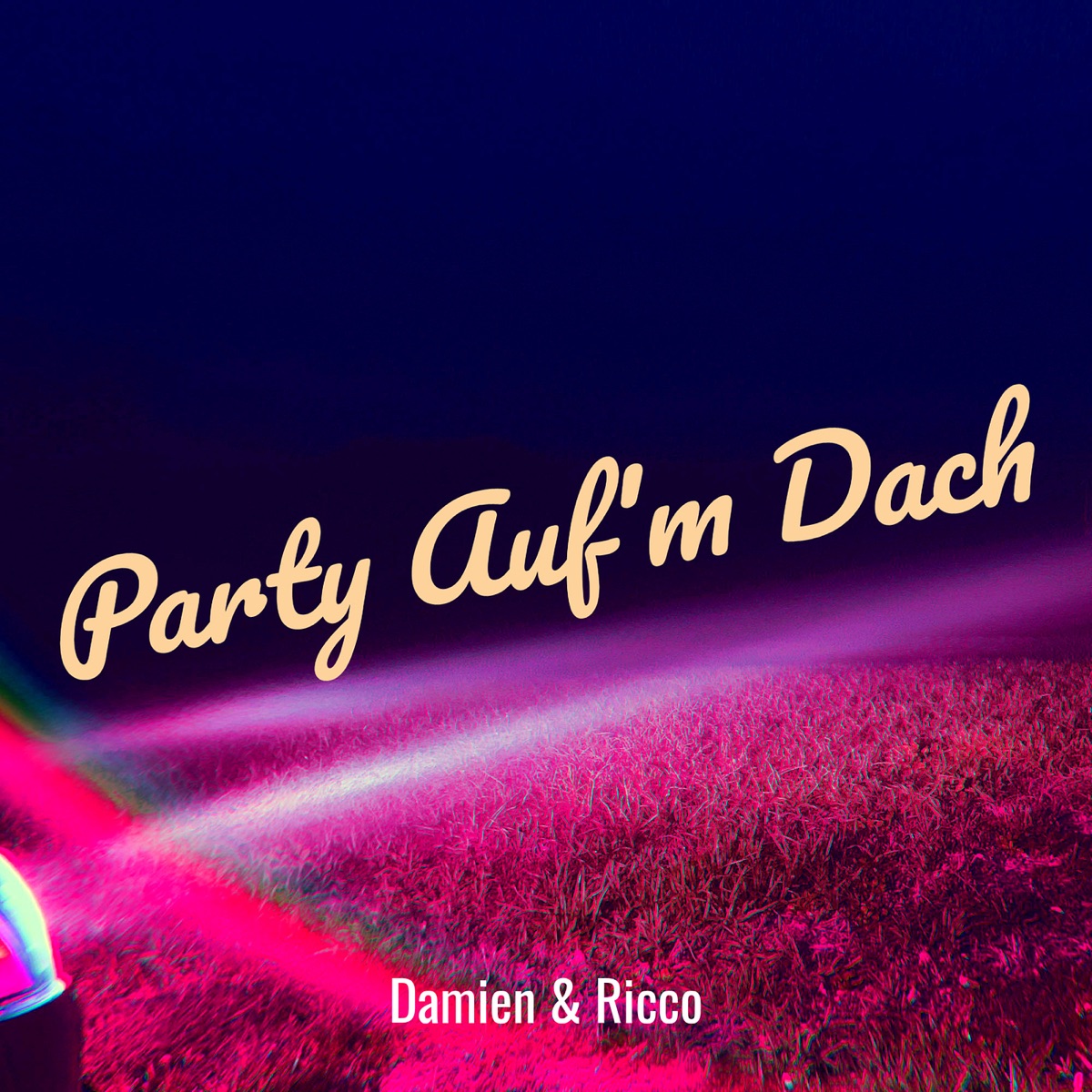Party Auf'm Dach - Single by Damien & Ricco album cover