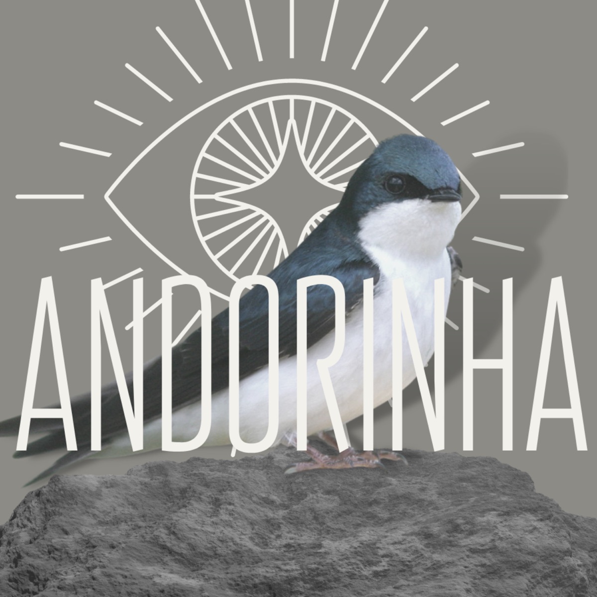 Andorinha - Single by MC Germane album cover