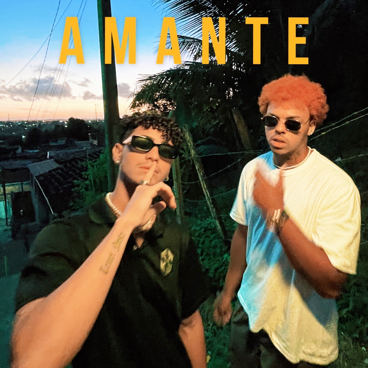 Amante - Single by Harpia Records, Ice Lins & Pedro Jordan album cover