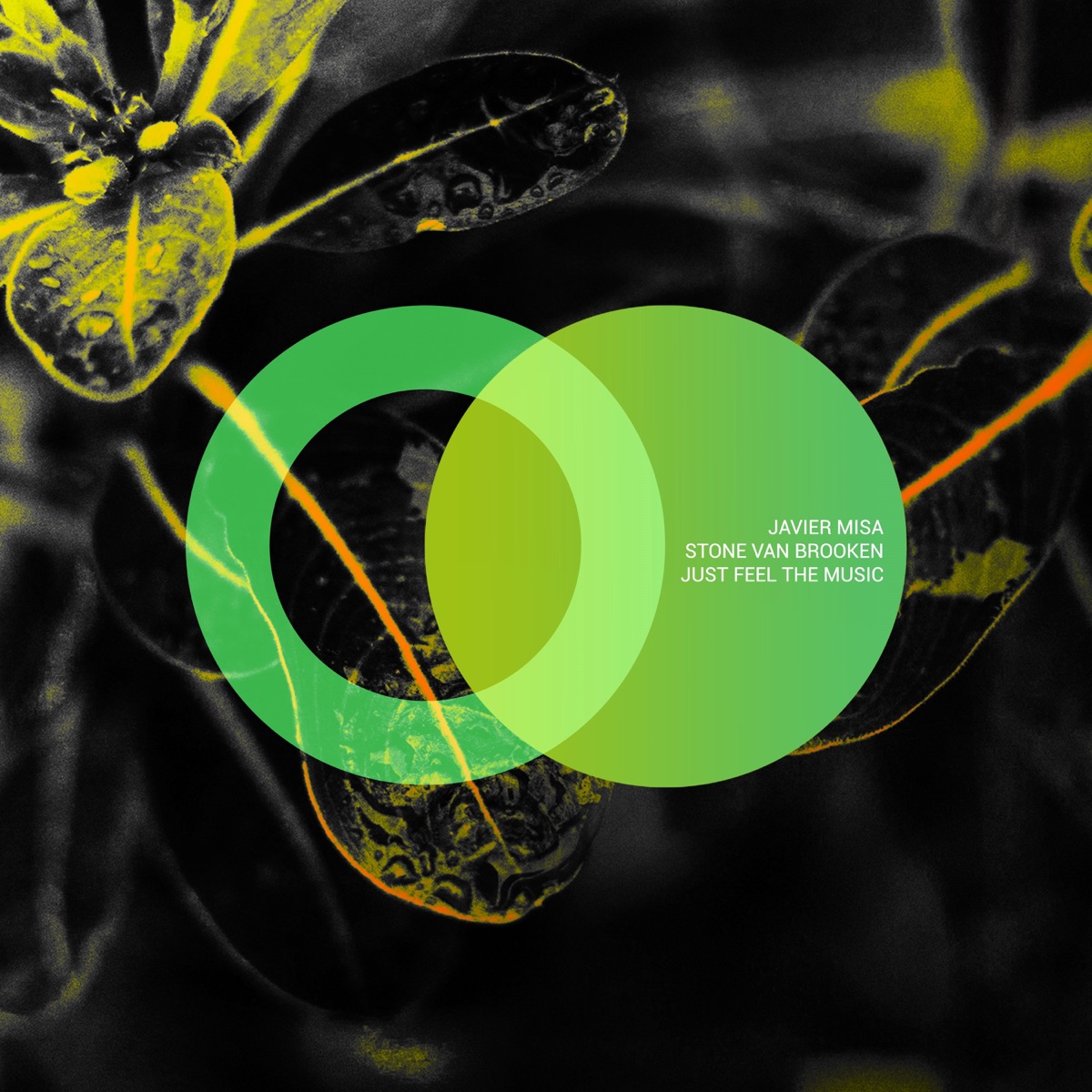 Just Feel the Music - Single by Javier Misa & Stone Van Brooken album cover