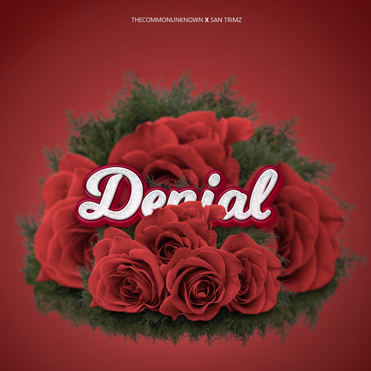 Denial - Single by San Trimz & TheCommonUnknown album cover