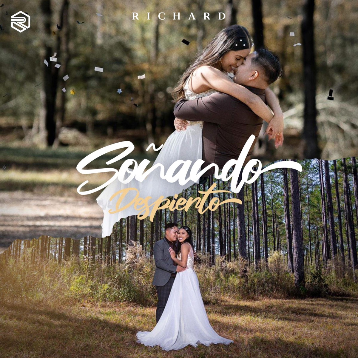 Richard-Soñando despierto (Audio oficial) - Single by Richard album cover