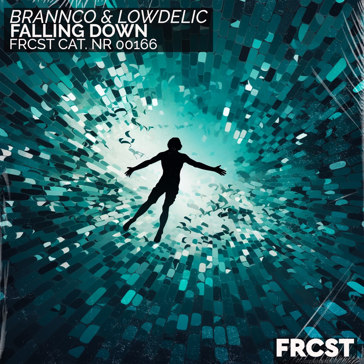 Falling Down - Single by Brannco & Lowdelic album cover
