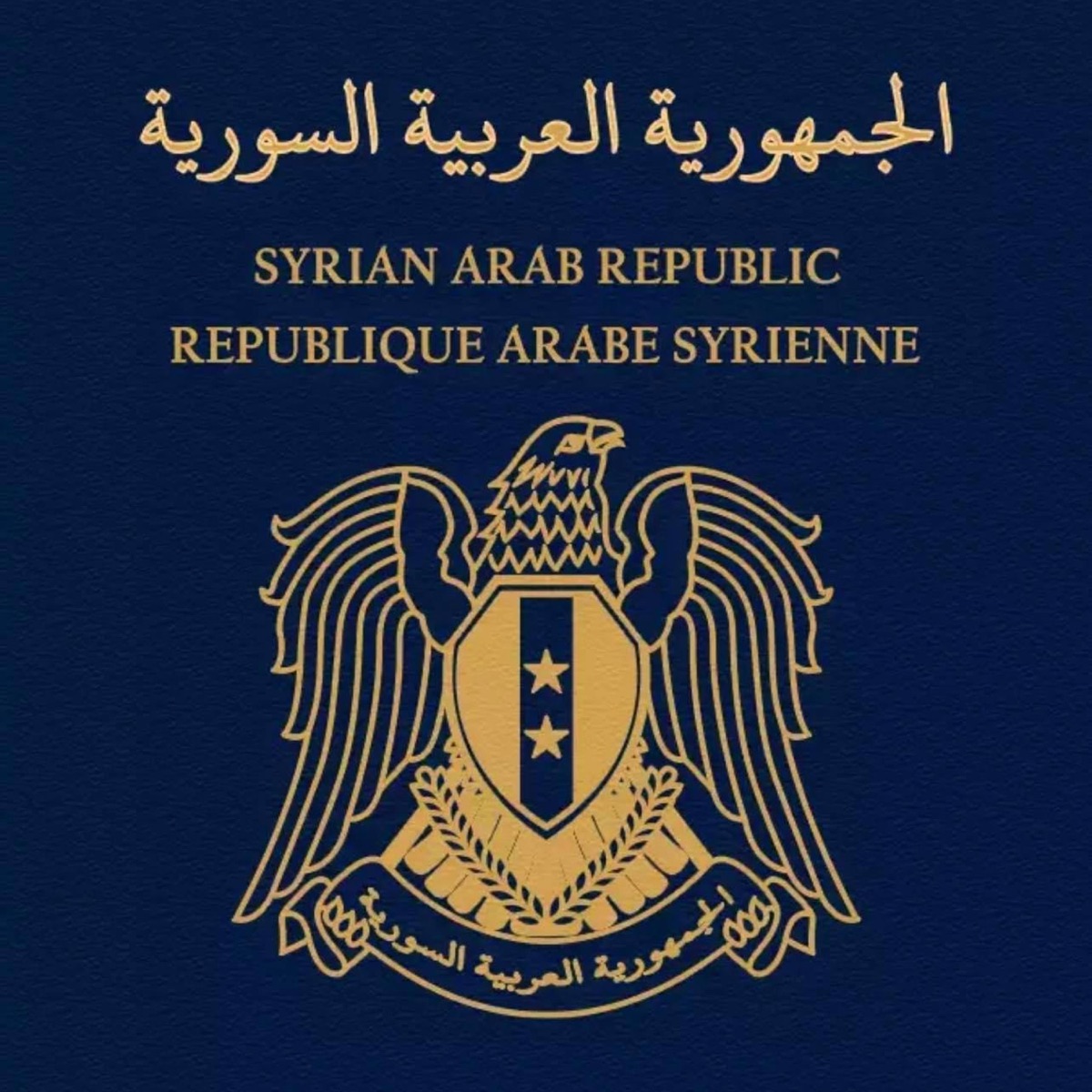 Syria On Speed - Single by BADER album cover