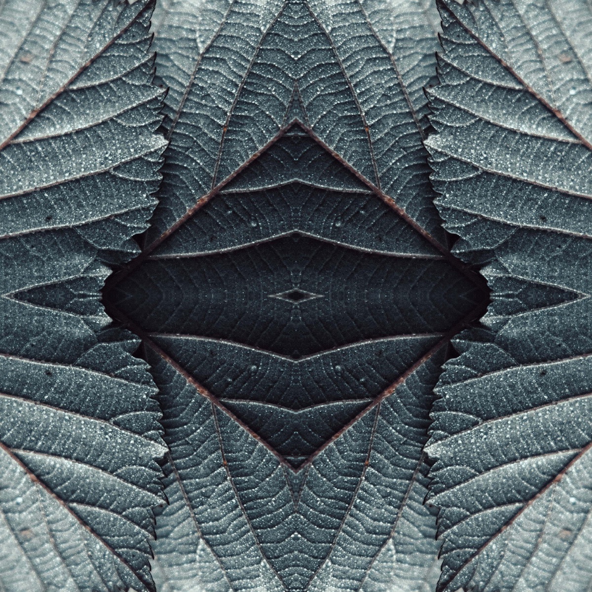 Departure - EP by Saturna album cover