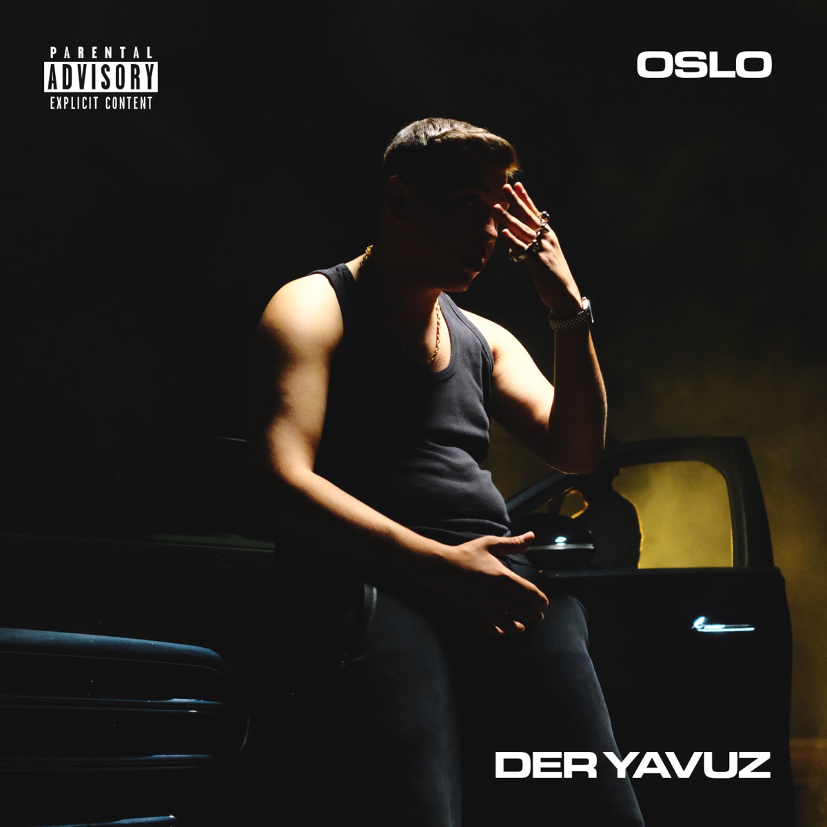 Oslo - Single by Der Yavuz album cover