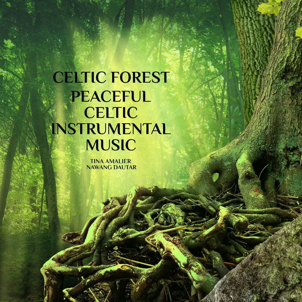 Celtic Forest: Peaceful Celtic Instrumental Music by Tina Amalier & Nawang Dautar album cover