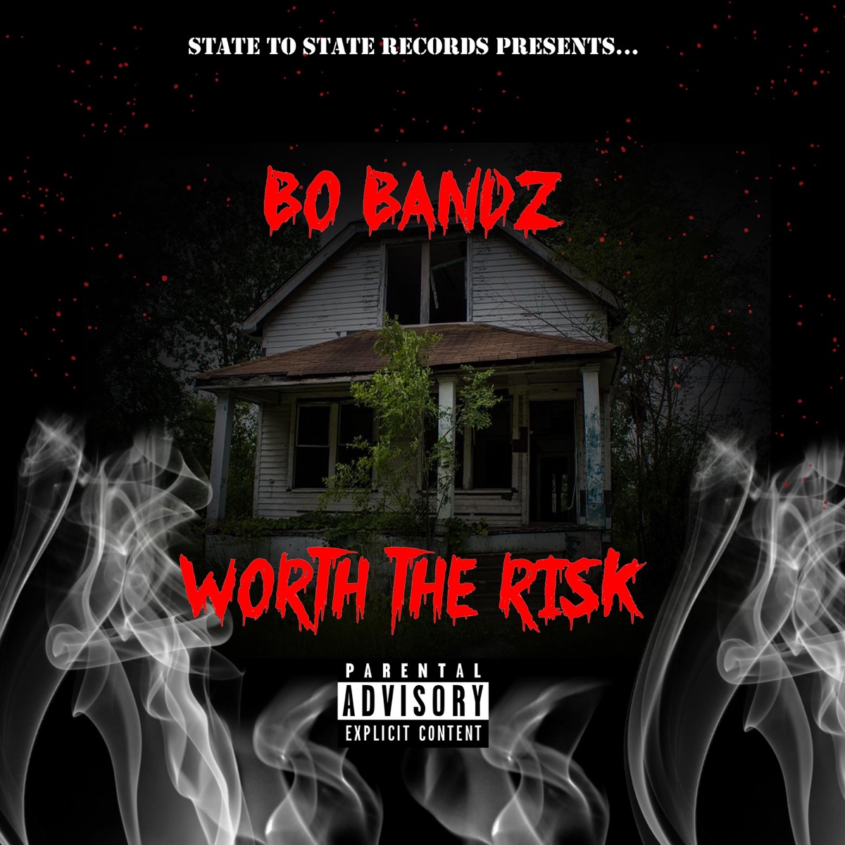 Worth the Risk by Bo Bandz album cover