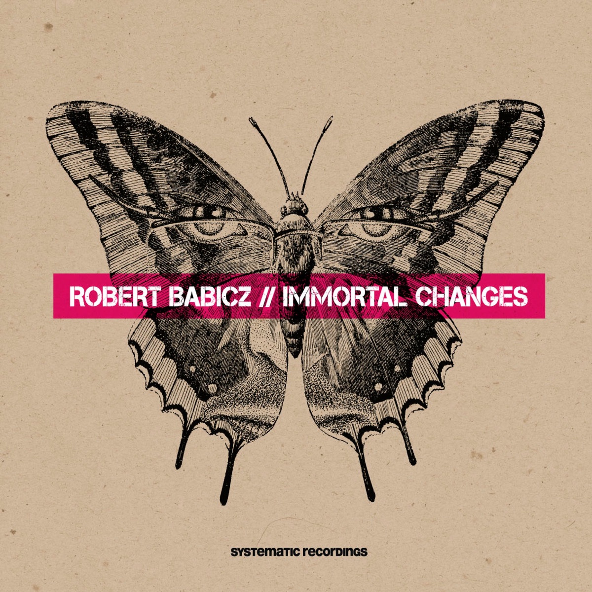 Immortal Changes by Robert Babicz album cover