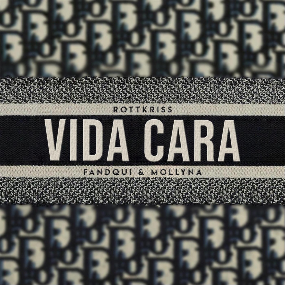 Vida Cara - Single by Rottkriss, Fandqui & MollyNa album cover