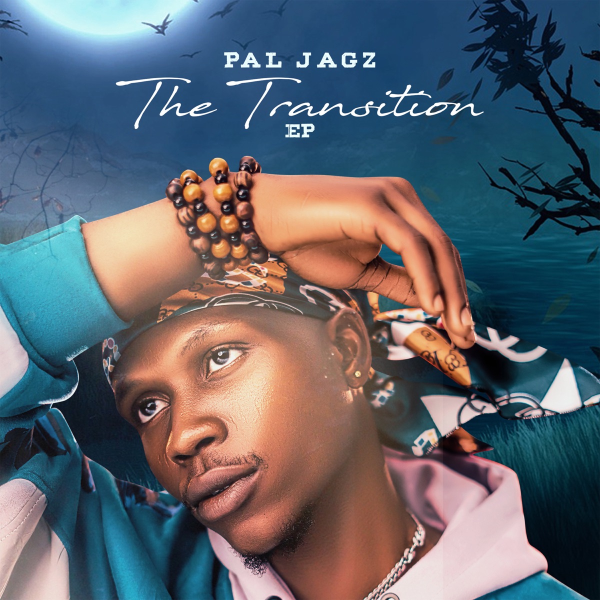The Transition - EP by Pal Jagz album cover