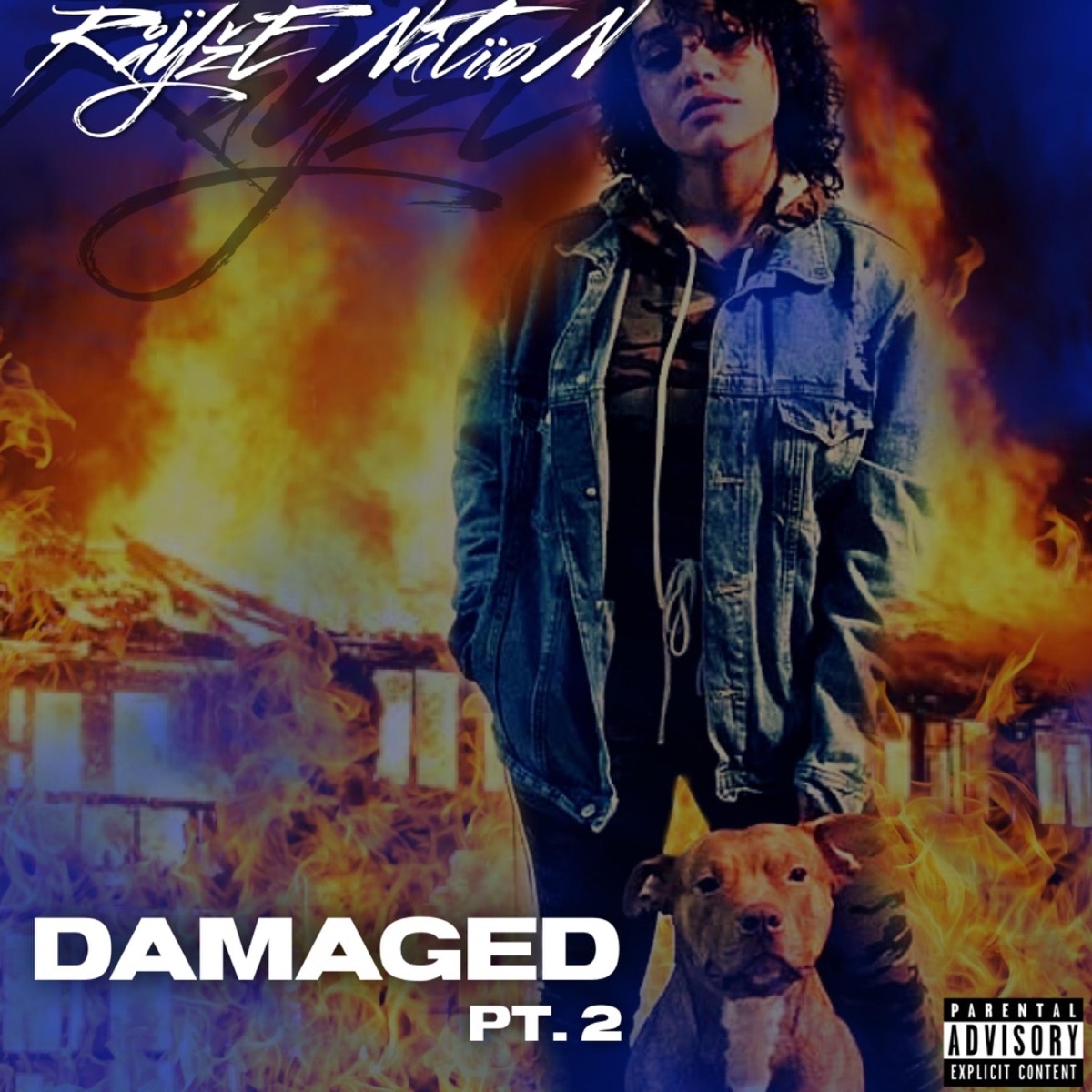 Damaged, Pt. 2 - Single by RayzeNation album cover