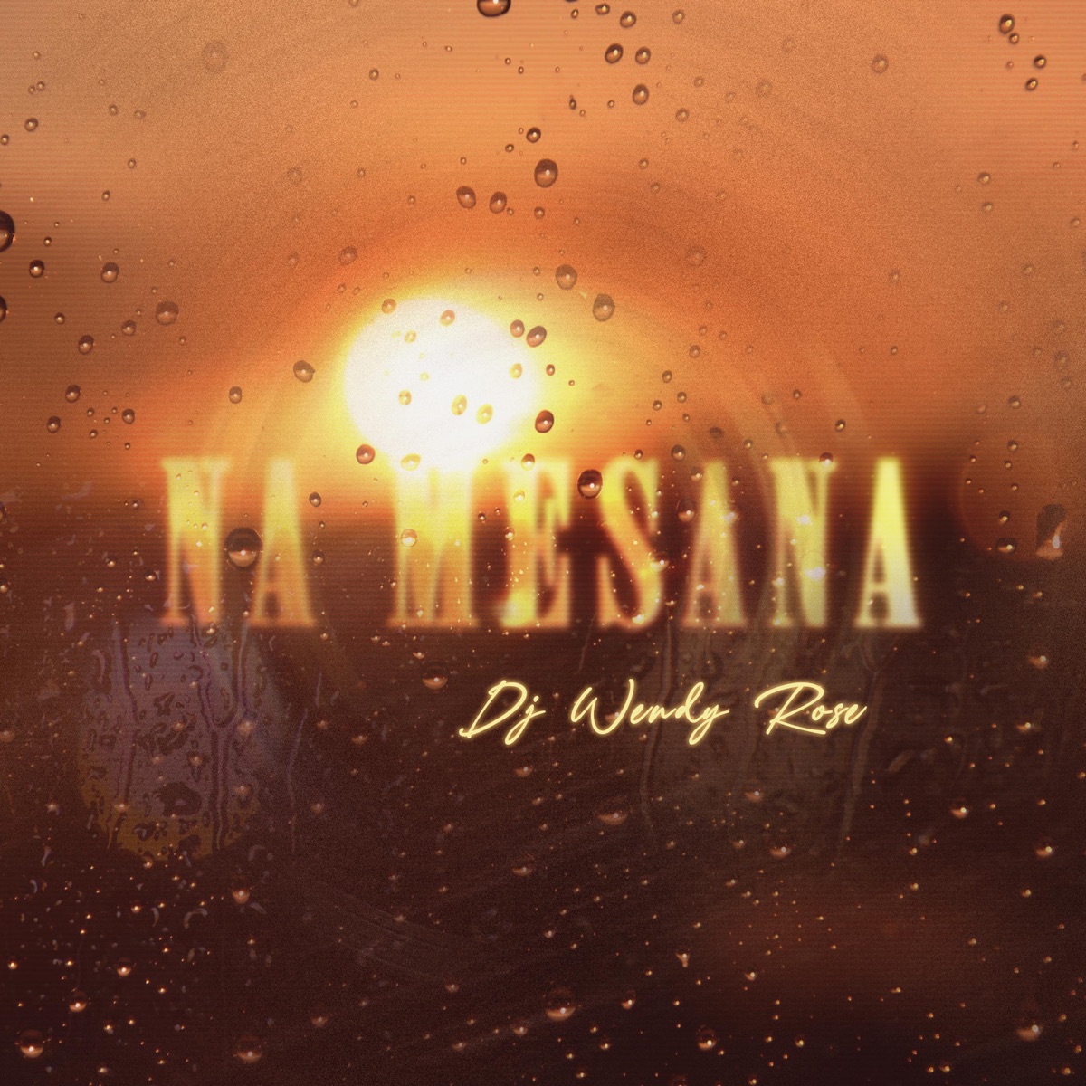 Na Mesana - Single by Dj Wendy Rose album cover