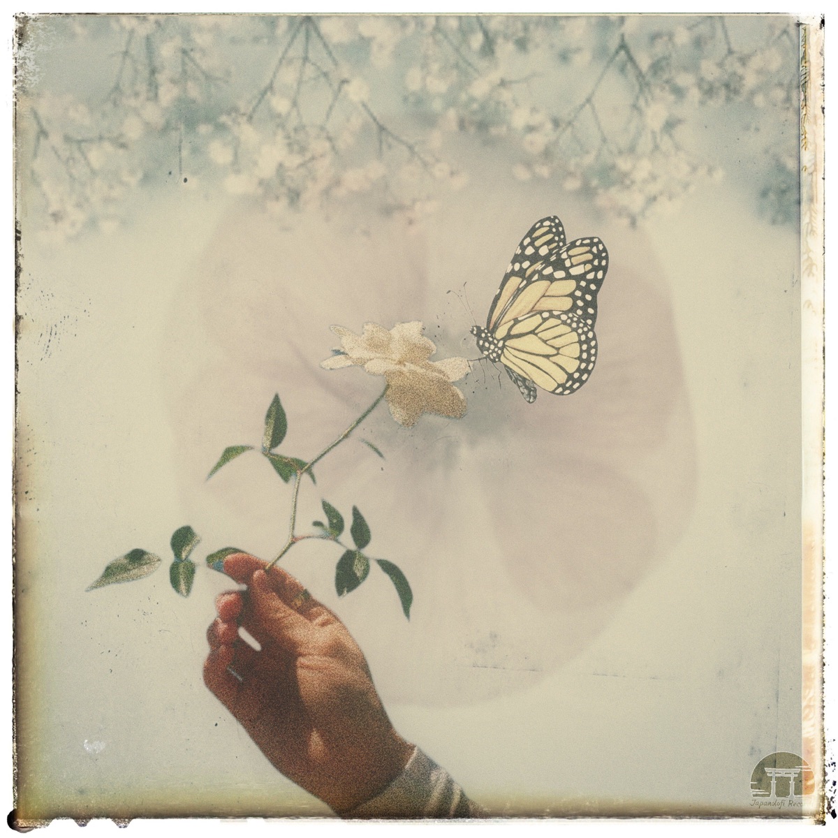 Flower - Single by CRFT & TAKESY album cover