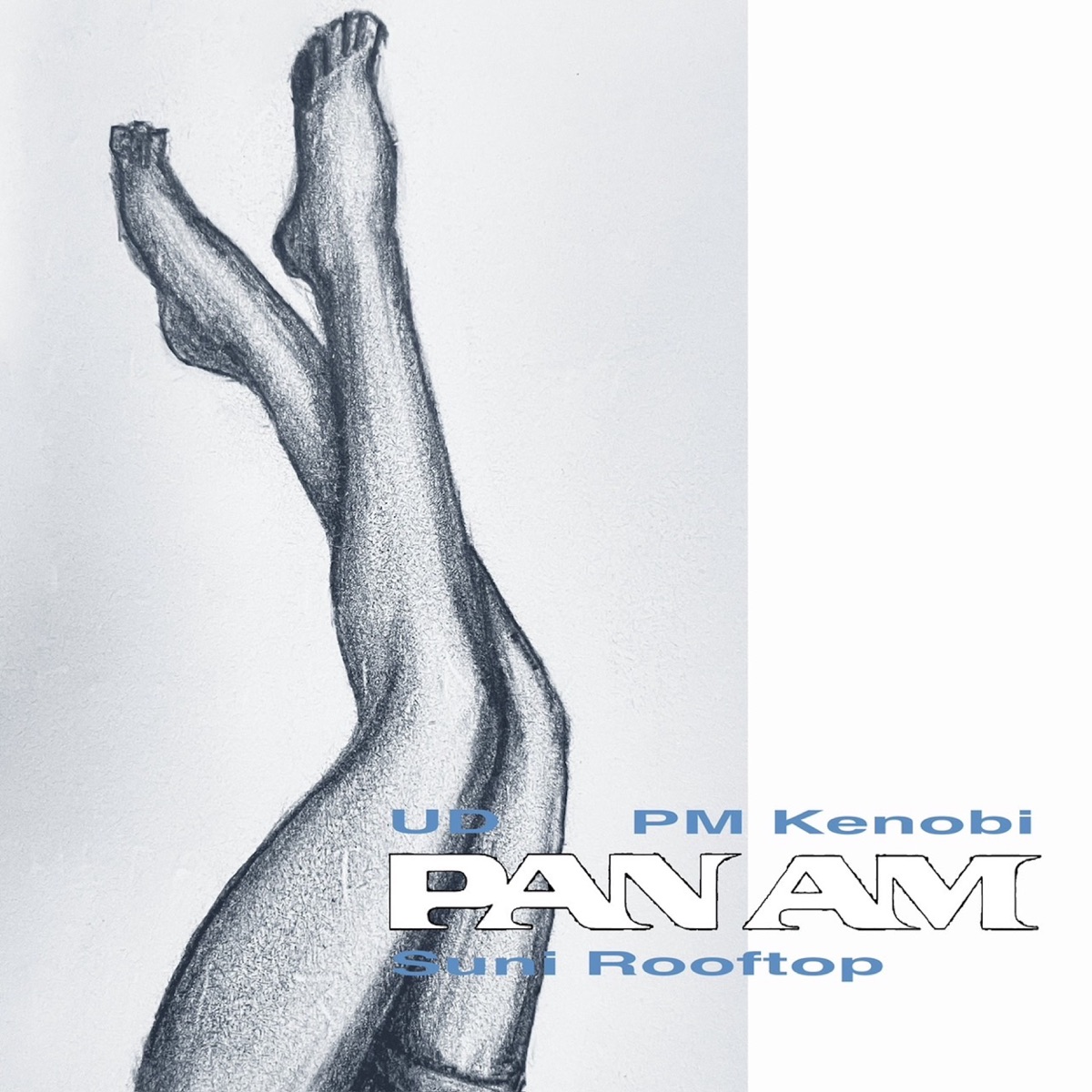 Panam (feat. Suni Rooftop, PM Kenobi & UD) - Single by Earthkick album cover