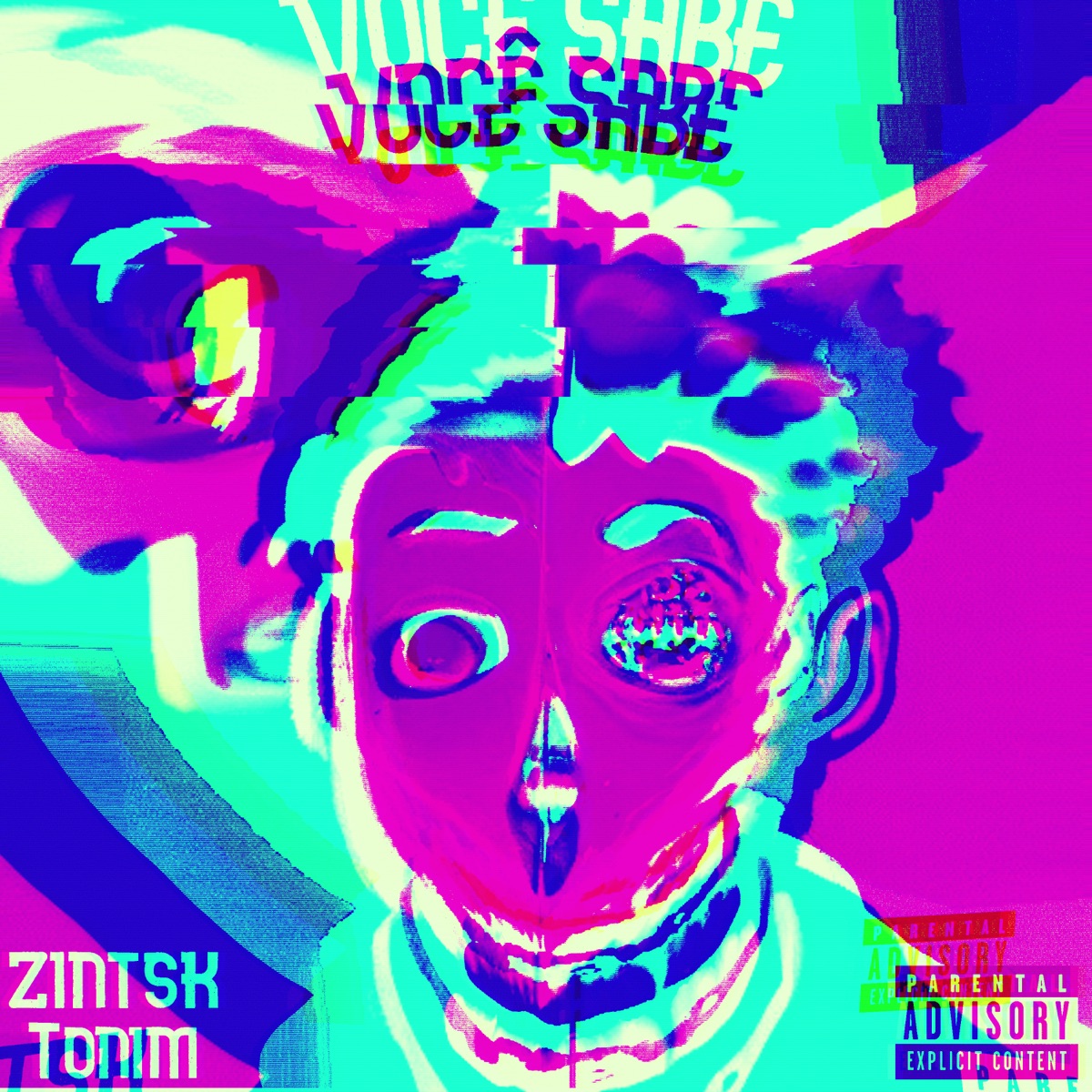 Você Sabe (feat. Tonim) - Single by ZiNTsk album cover