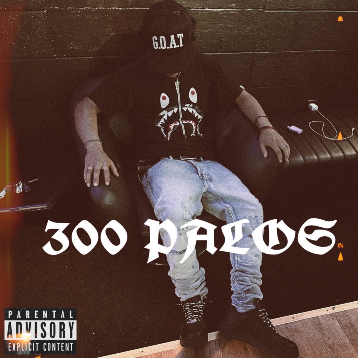 300 PALOS - Single by El recluso album cover