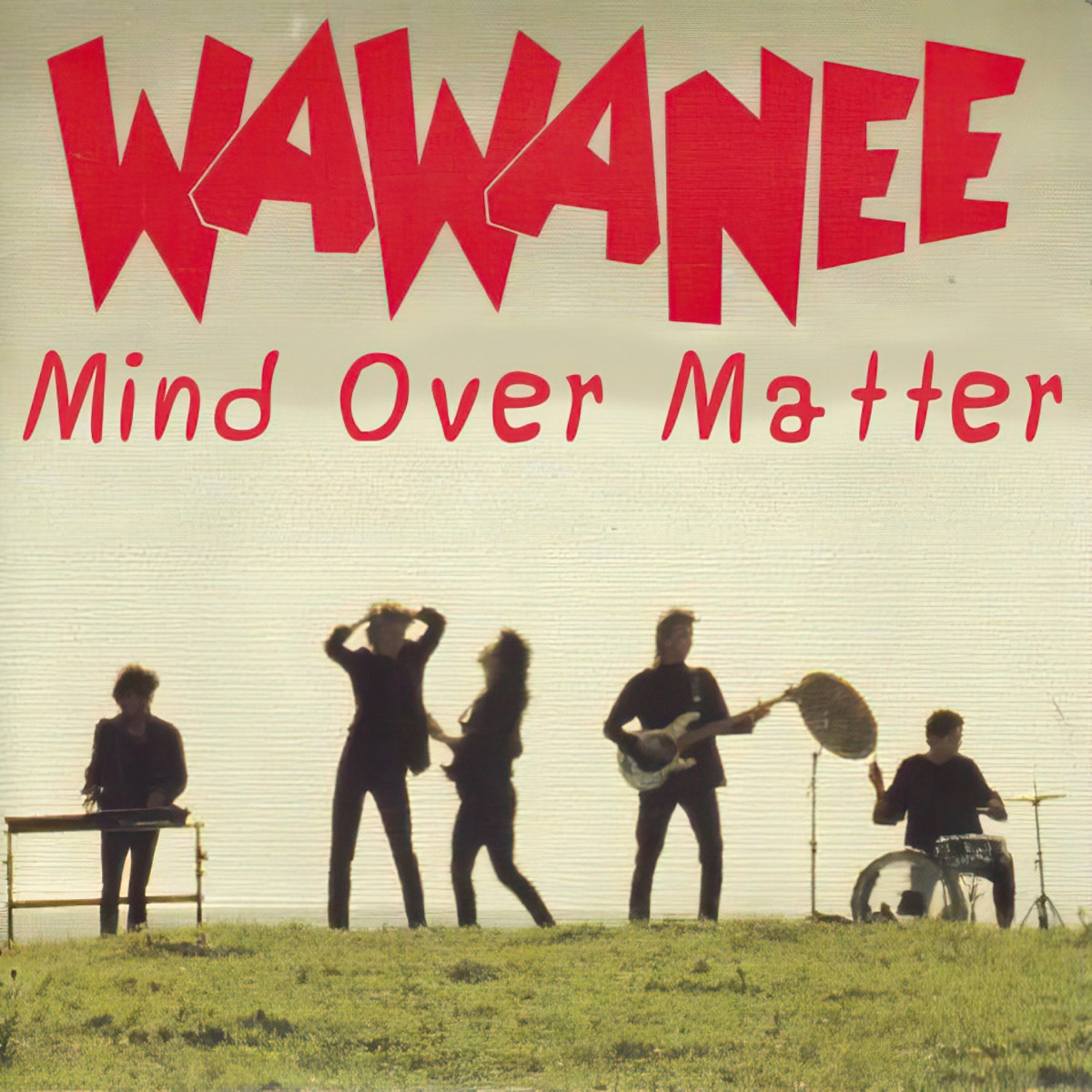 Mind Over Matter (feat. Steve Williams) - Single by Wa Wa Nee album cover