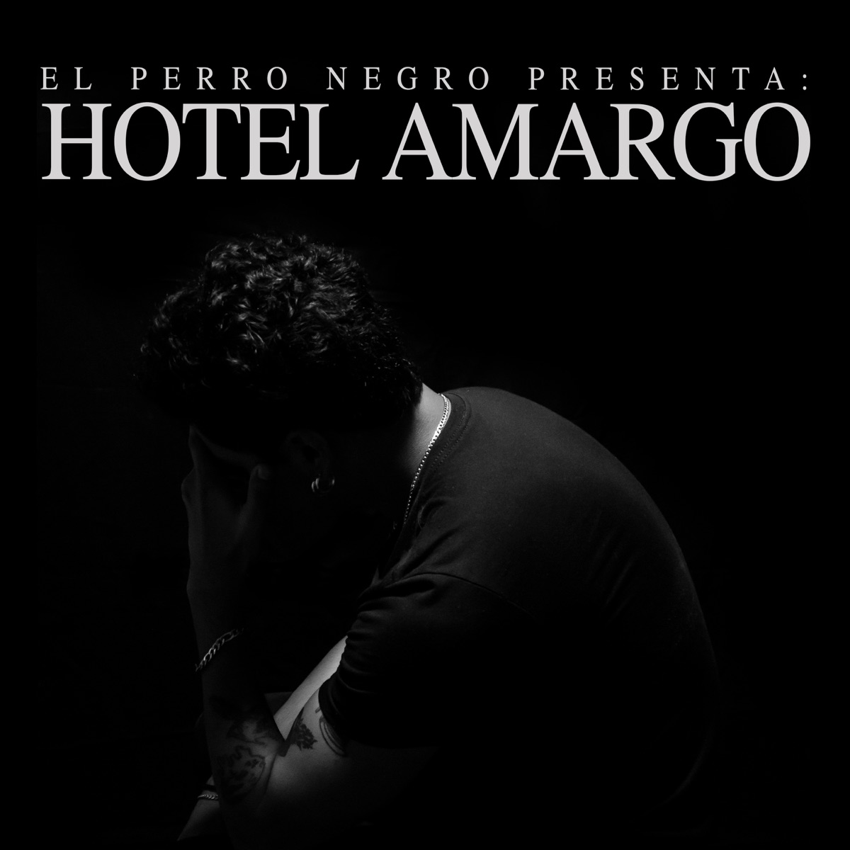 Hotel Amargo - EP by Perro Negro album cover