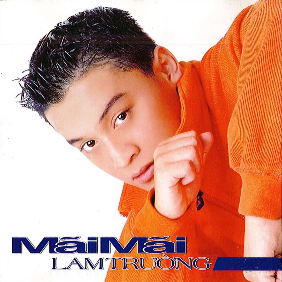 Mãi Mãi by Lam Trường album cover