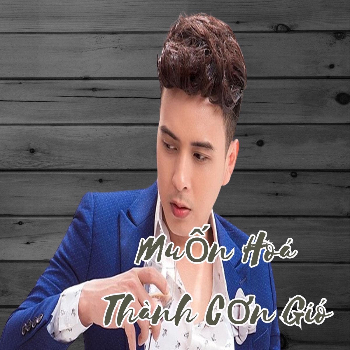 Muốn Hoá Thành Cơn Gió - Single by Hồ Quang Hiếu album cover