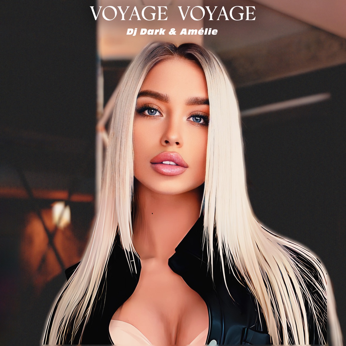 Voyage Voyage - Single by Dj Dark & Amélie album cover