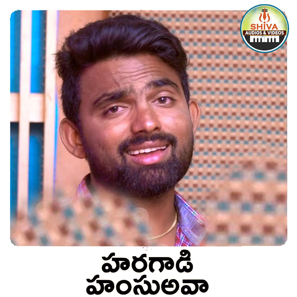 Haragadi Hamsuavaa - Single by Dhanavath Shiva Nayak & Singer Sirisha album cover