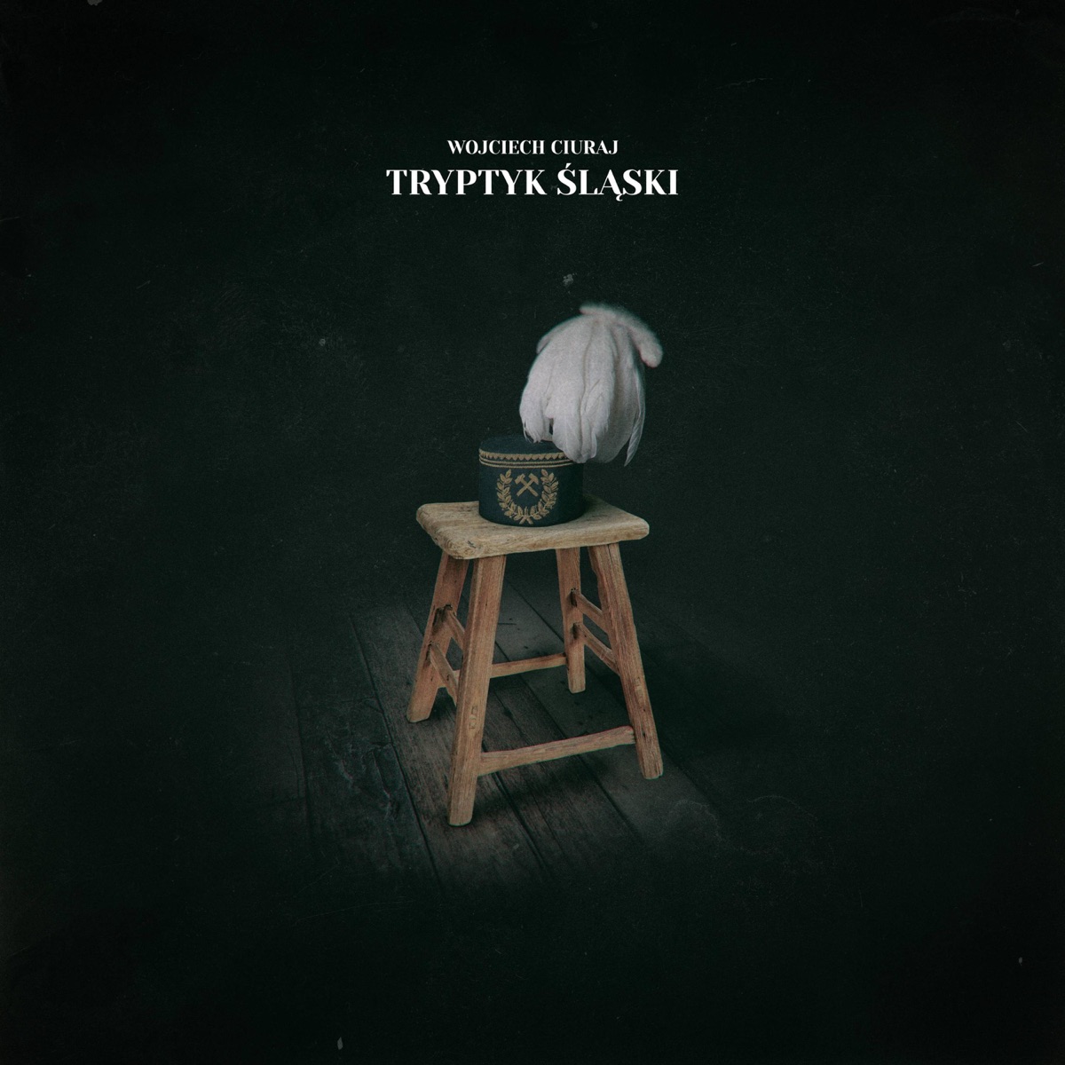 Płyń Rawo, płyń! - Single by Wojciech Ciuraj album cover