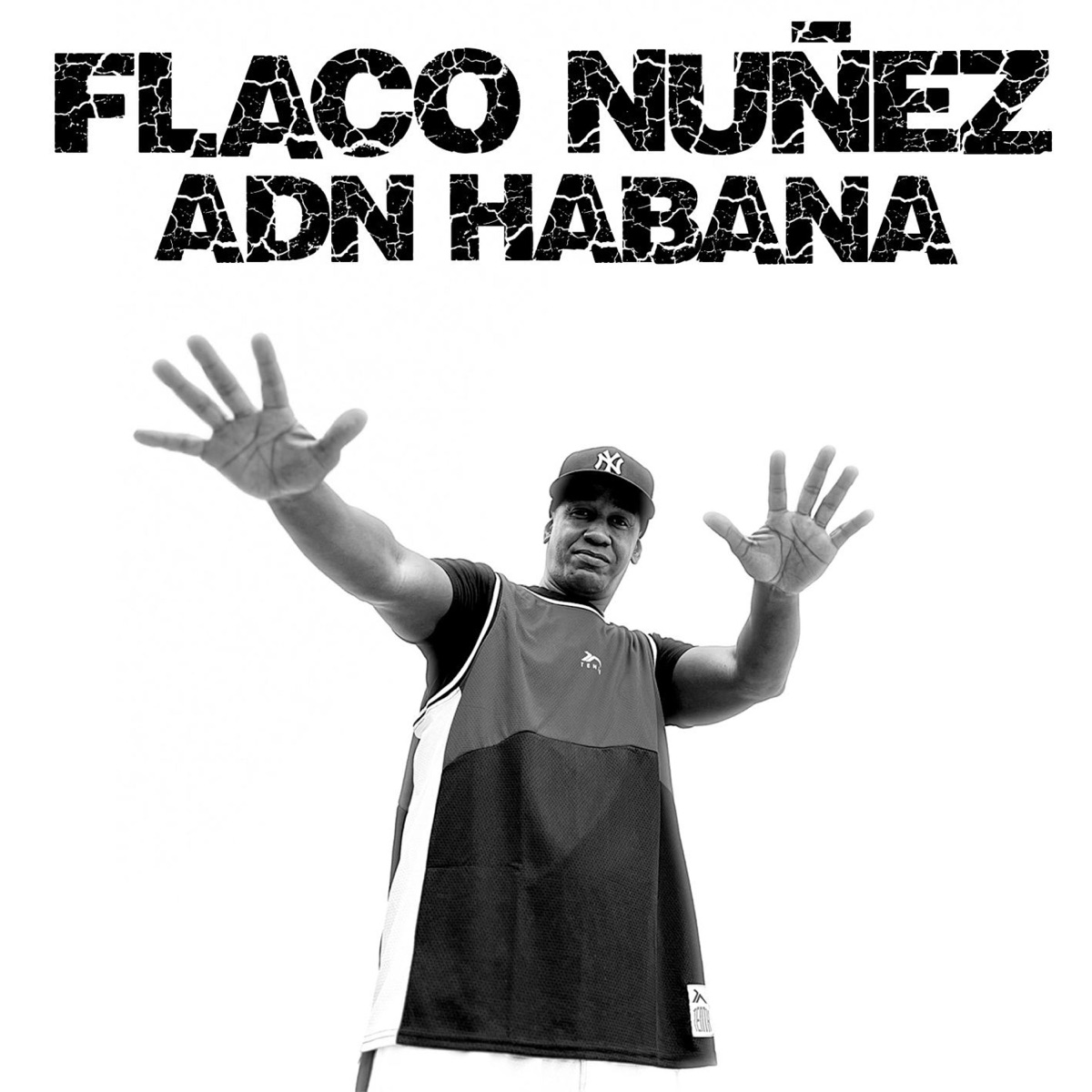 ADN HABANA (feat. LaGuarida131) by Flaco Nuñez album cover