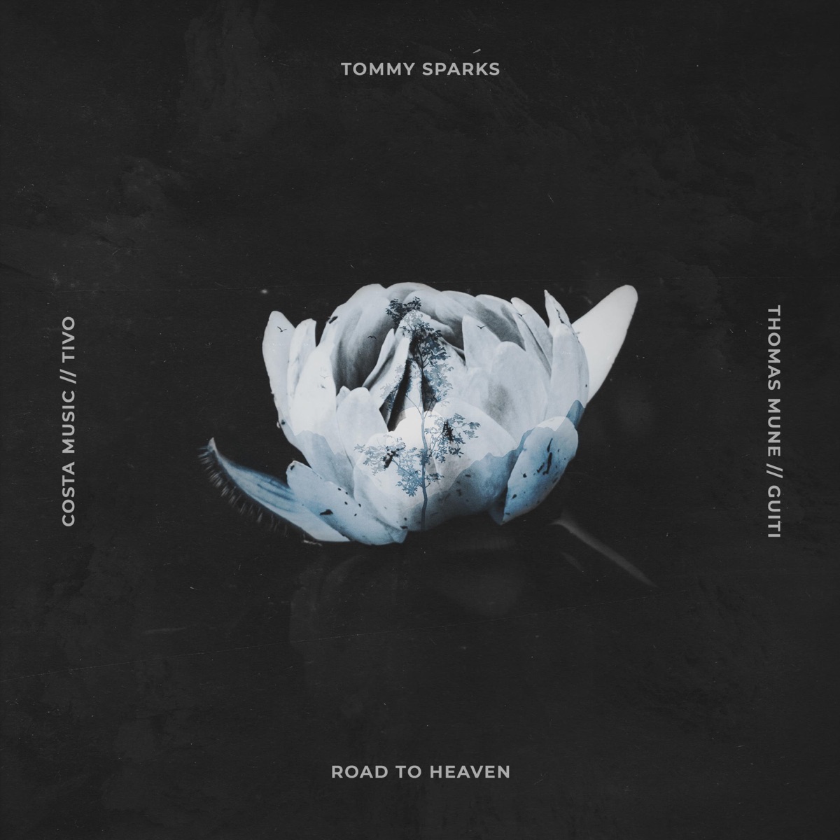Road To Heaven - Single by Tommy Sparks album cover