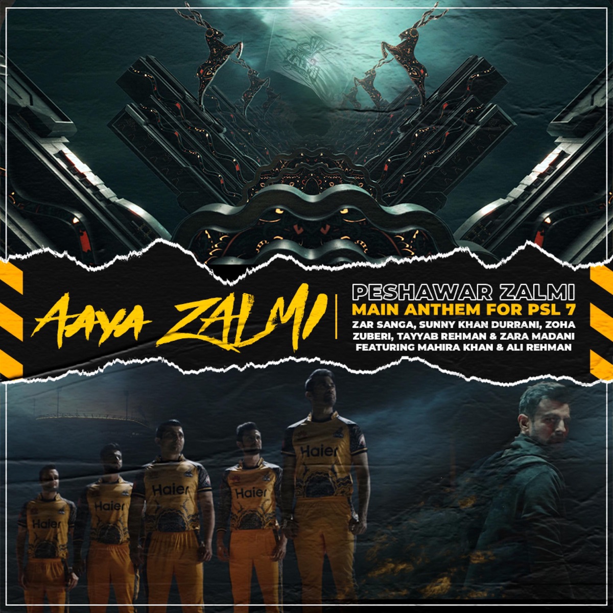 Aaya Zalmi (Peshawar Zalmi Main Anthem for PSL 7) (feat. Zoha Zuberi, Black Hour, Ali Mustafa, Zara Madani & Sunny Khan Durrani) - Single by Rohail Hyatt album cover