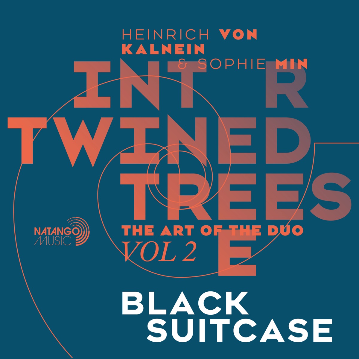 Black Suitcase - Single by Heinrich von Kalnein album cover