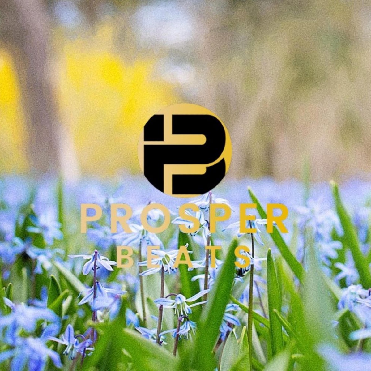 Growth - Single by Prosper Beats album cover