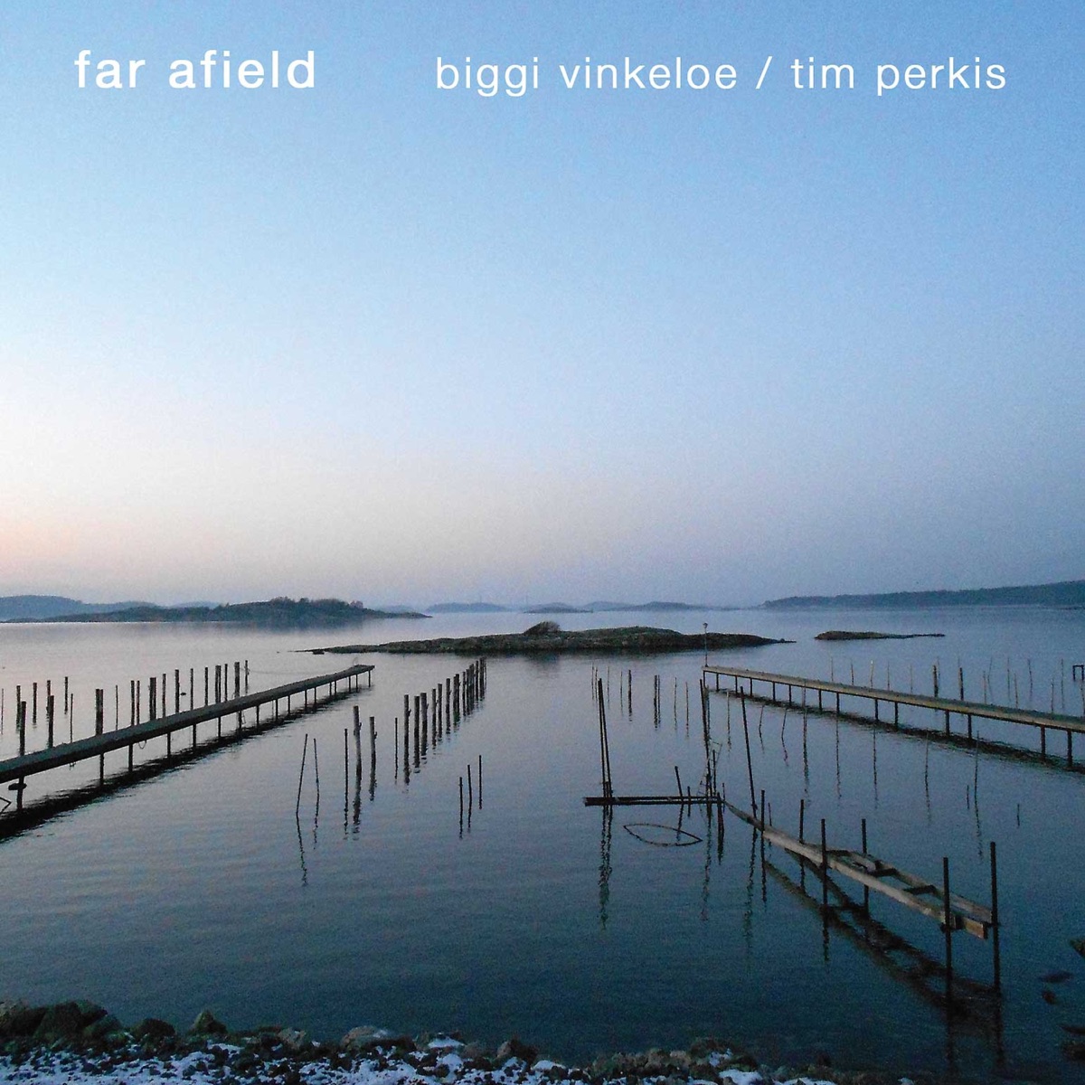 Far Afield (feat. Biggi Vinkeloe) by Tim Perkis album cover