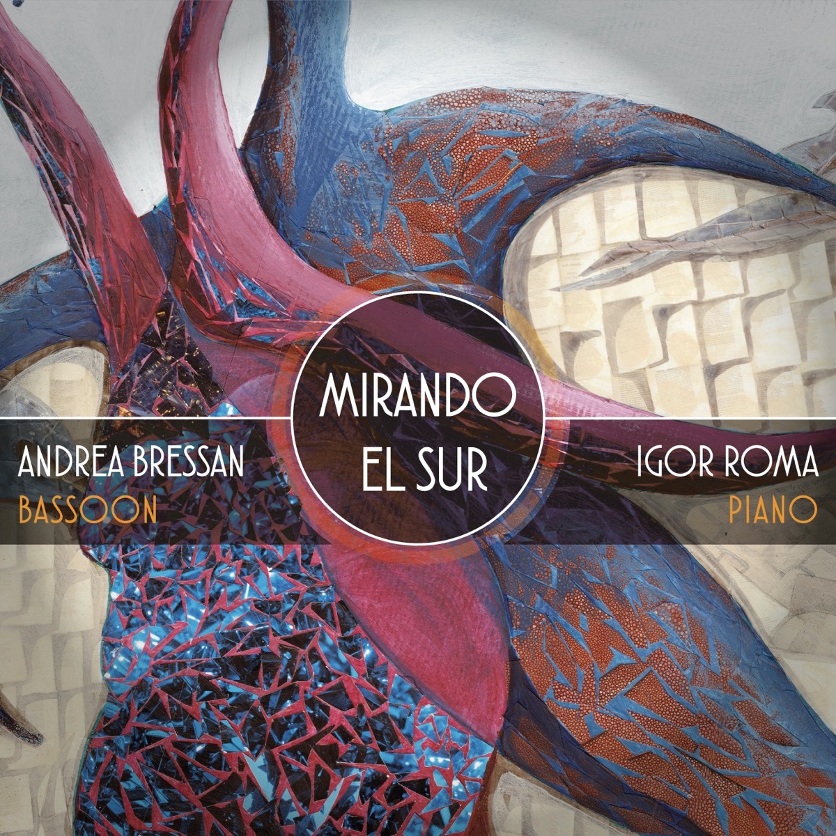 Mirando el Sur by Andrea Bressan & Igor Roma album cover