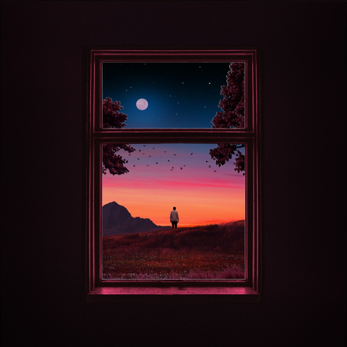 Stargazing by Lucid Green & softy album cover