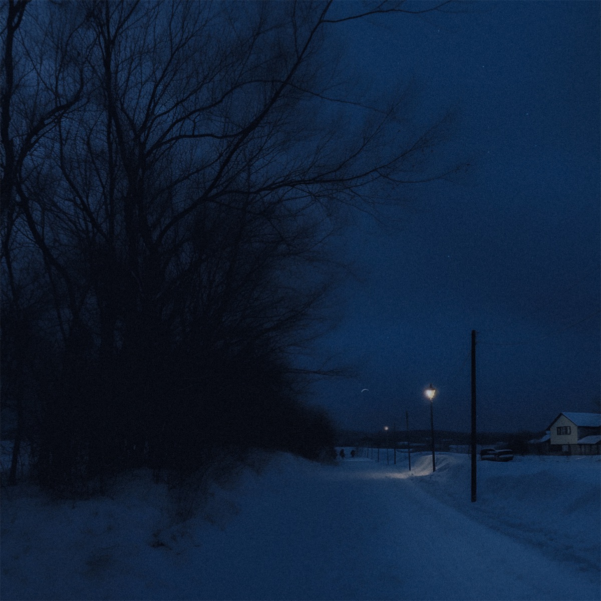 frost - Single by pxlse. album cover
