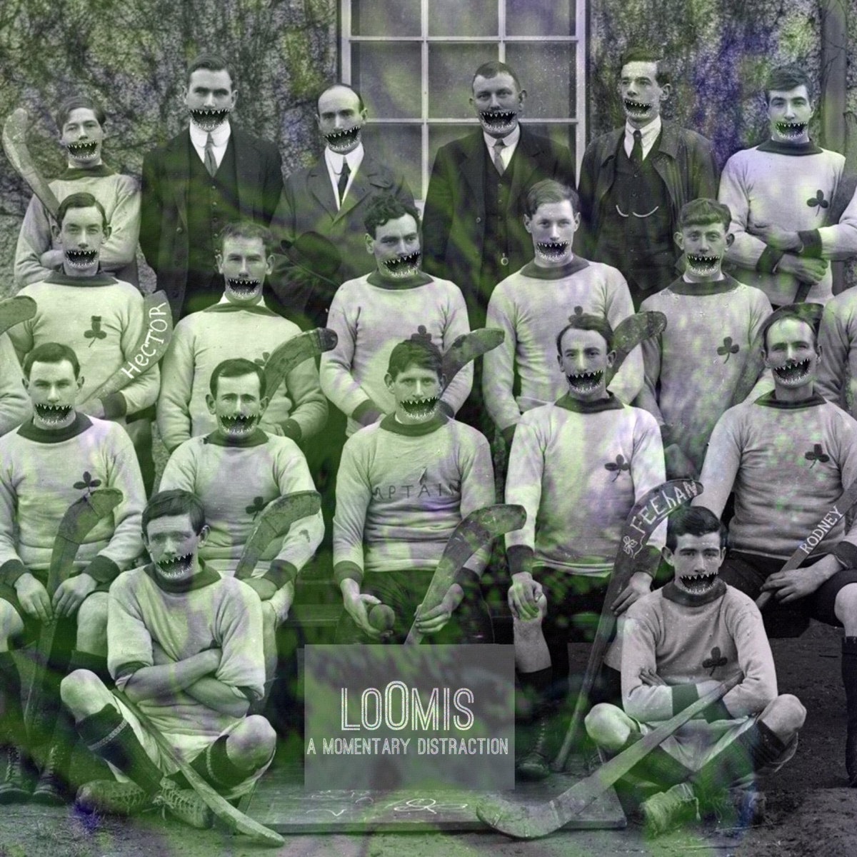 A Momentary Distraction by Loomis album cover