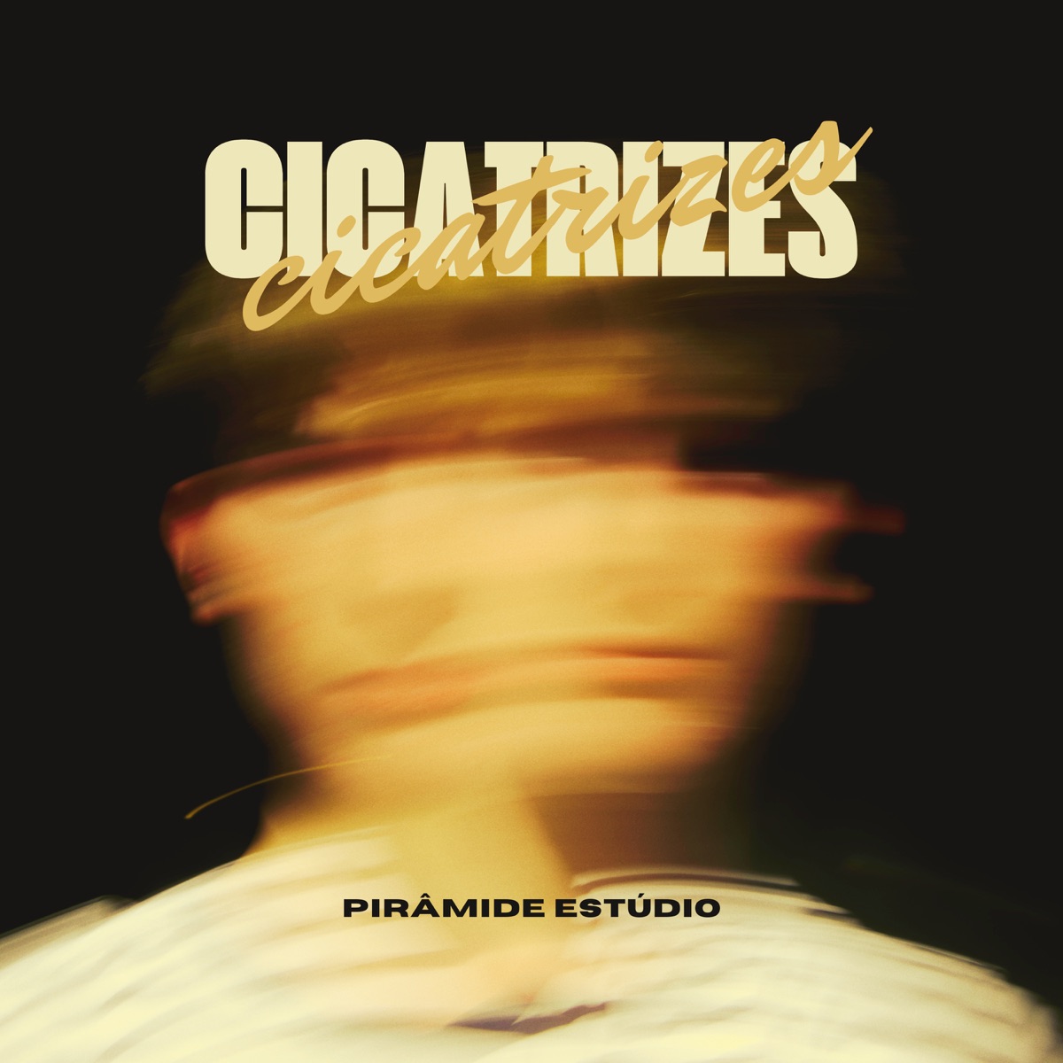 Cicatrizes (feat. Jah' Pa D' Vênus) - Single by Danny Ribbs album cover