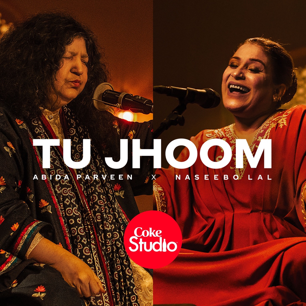 Tu Jhoom - Single by Naseebo Lal & Abida Parveen album cover