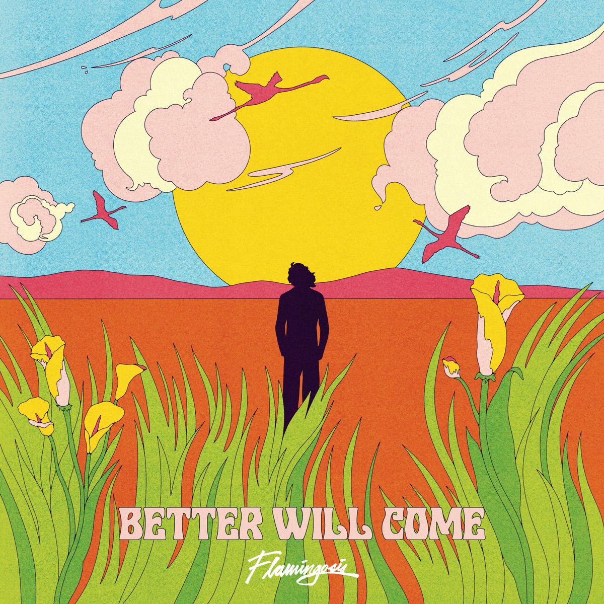 Better Will Come by Flamingosis album cover