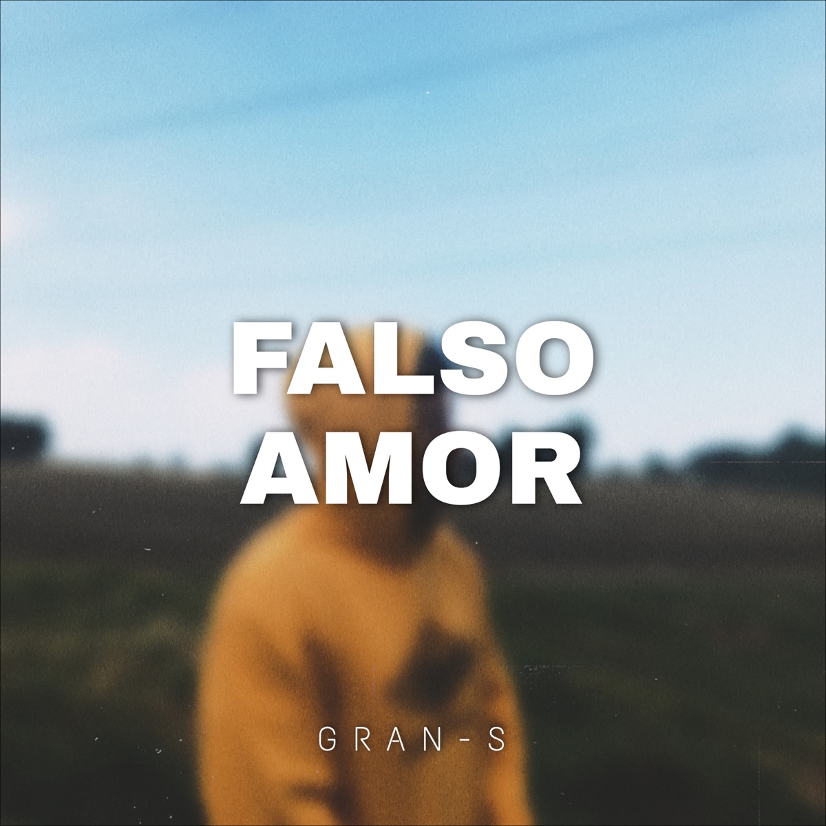 Falso Amor - Single by Gran S album cover