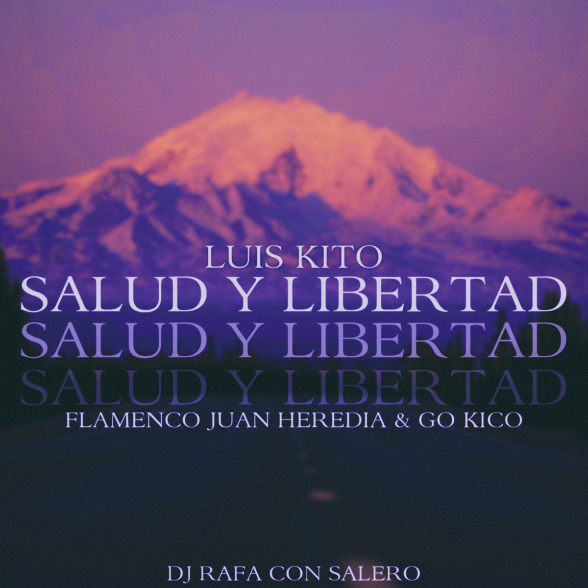 Salud y Libertad (feat. Dj Rafa Con Salero) - Single by Go Kico, Flamenco Juan Heredia & Luis Kito album cover