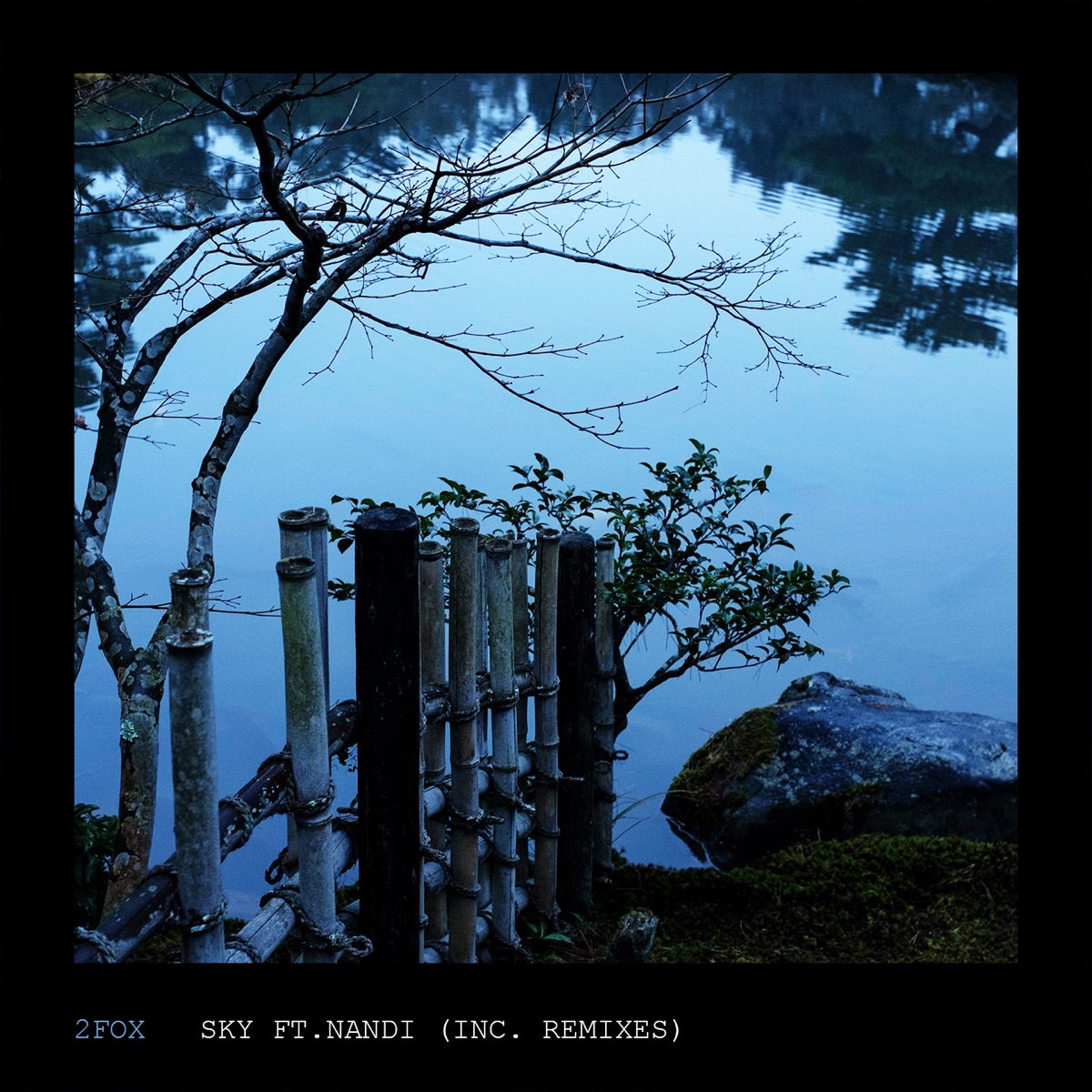 Sky (feat. Nandi) by 2fox album cover