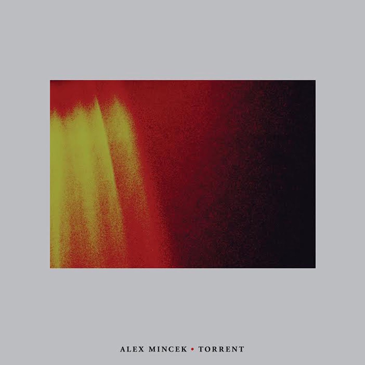 Alex Mincek: Torrent by Alex Mincek, Wet Ink Ensemble, Yarn/Wire, Mivos Quartet & Eric Wubbels album cover