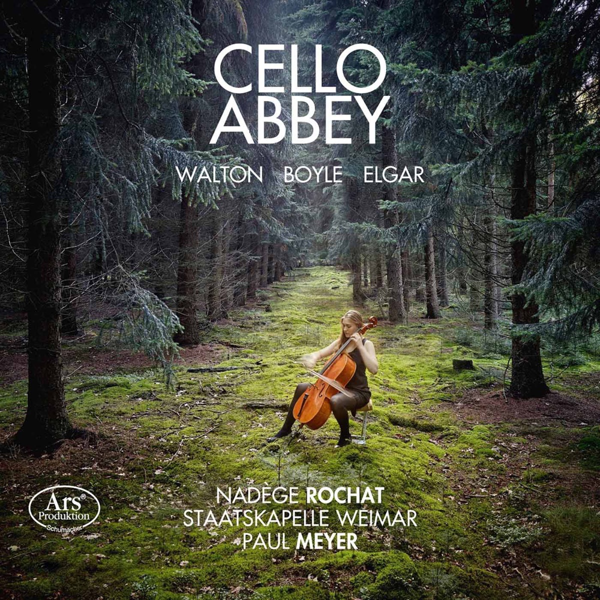 Cello Abbey by Nadege Rochat, Weimar Staatskapelle Chamber Orchestra & Paul Meyer album cover