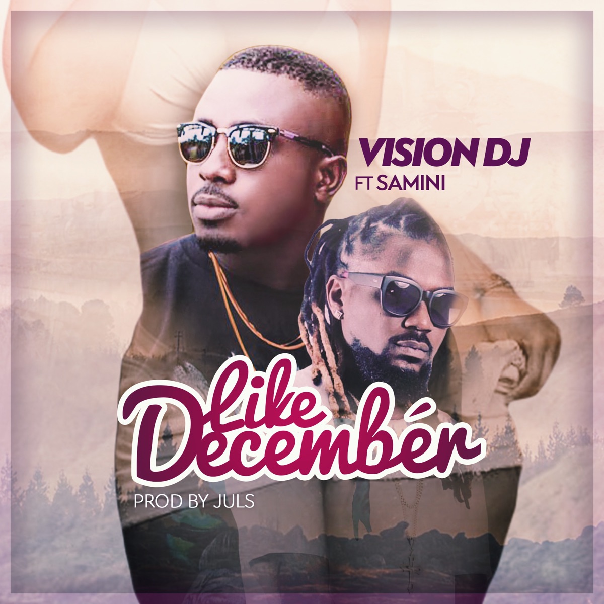 Like December (feat. Samini) - Single by Vision DJ album cover