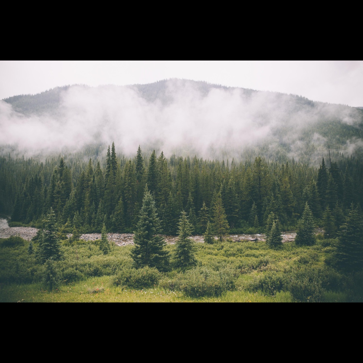 Crystal Garden (feat. Sophie Meiers) - Single by Comodo album cover